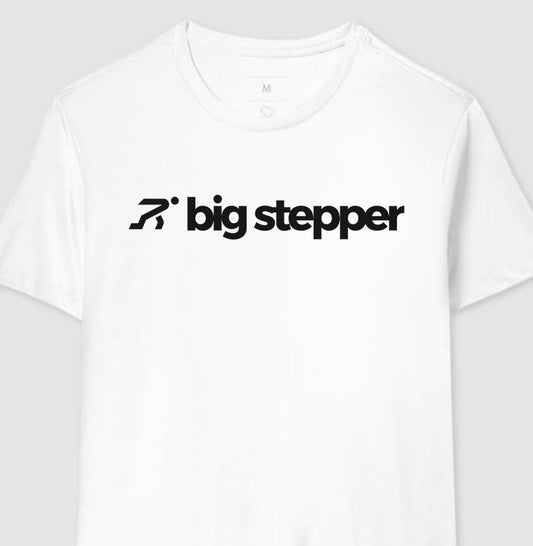 big stepper v.1